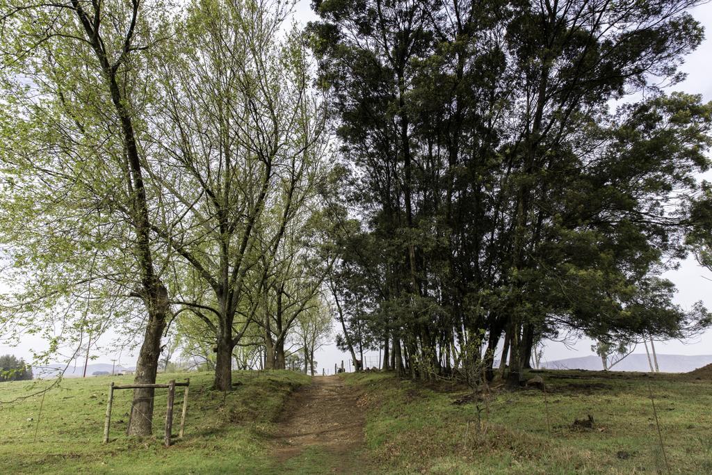 Beverley Country Cottages Dargle エクステリア 写真