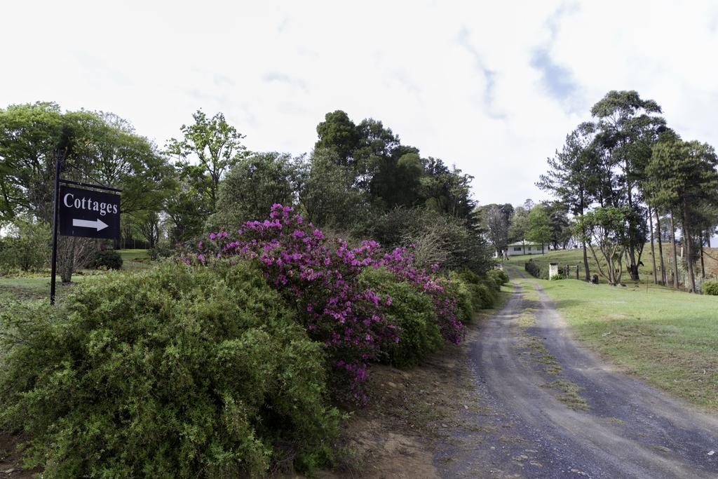 Beverley Country Cottages Dargle エクステリア 写真