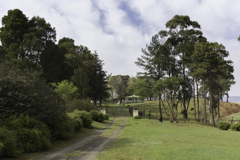 Beverley Country Cottages Dargle エクステリア 写真