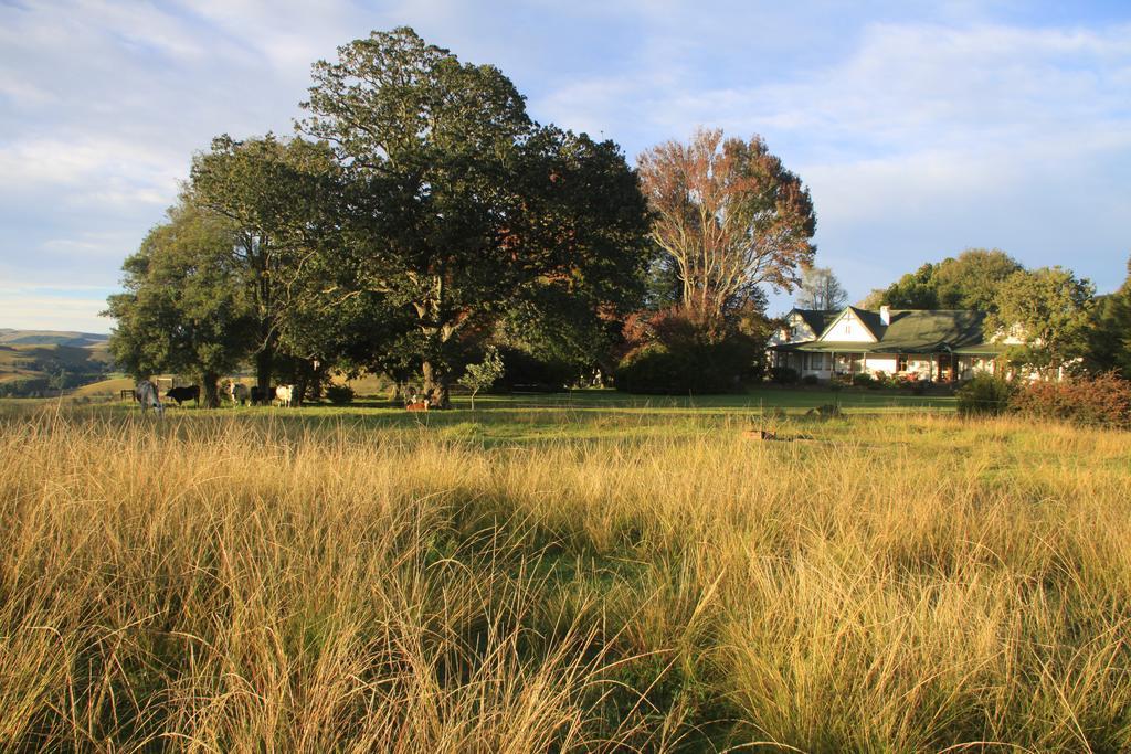 Beverley Country Cottages Dargle エクステリア 写真